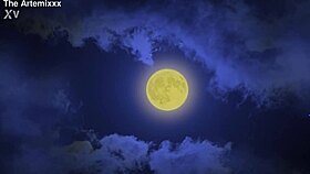 A wolf sneaks into forbidden territory with intense neighborly action.