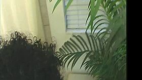 Theshimmyshow - island hottie from trinidad ft foxy roxy