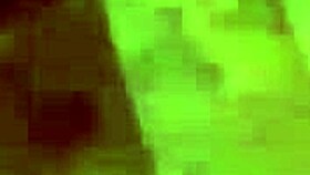 dark lantern entertainment presents retro vintage pussy and hairy beaver