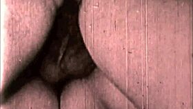 Vintage Erotic Drawings Feature Big Tits and Ass