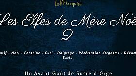 les elfes de mere noel 2 with french european dialogue