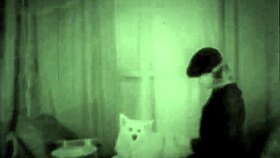 dark lantern entertainment presents retro vintage pussy and hairy beaver