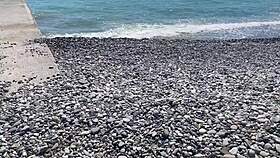 Rozkošná plážová holka se mění v nejšpinavější otrokyni s těsnou kundičkovou hrou.