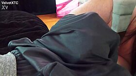 introducing the ford pickup truck