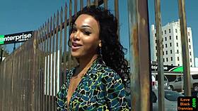 Gorgeous ebony tranny solos with pierced dick.