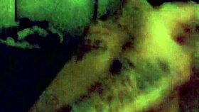 Money shot! Transsexual cumshot for cash!