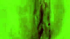 just a quick anal threesome with some wild chicks