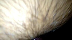 shaved pussy babe reaches tight orgasm