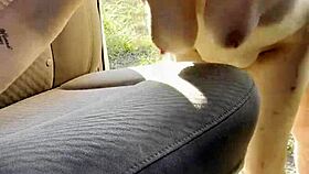 Big titty hooker McKenzie Gold cums from fucking her paying customer outdoors.