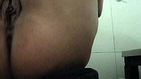 zé beringela from the fair of my city