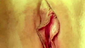 i discovered my step sis works as an escort in florida