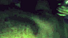 suzy furacão sucking leo ogro's cock