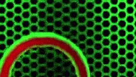 i love watching pawgs sophie dee with big tits and wet pussy in lesbian cunilingus