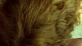 cheating wife bent over and roughly fucked by nerd