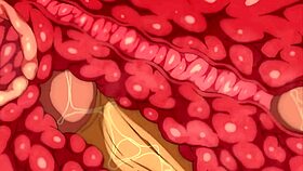 itadaki seieki español latino hentai anime adventure 😈