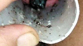 Pussy Play With Oreo Cookie Fetish