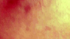 sundaydogood614 shares update 366 video on july 30 2024