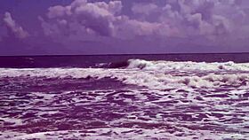 Hey, have you seen gorgeous teen 18+ Agnes bathing naked in the ocean?