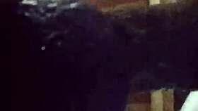 amateurs fuck crazily homemade style