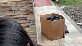 colombian puta sucks cock on street, caught by neighbor?