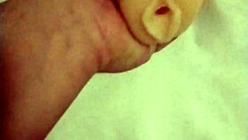 the magic mushroom adventure