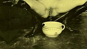 My Secret Life Vintage Lesbian Bondage with Hairy Pussy and Bound Fetish