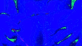 i'm in the bleu room, bent over for anal finger fuckin' myself, oh yeah!