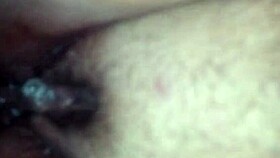 Feeling the passion while handling this bbw latina's curves.