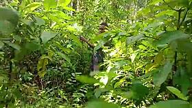 watch this bbw blonde ride a big cock outdoors in cowgirl?