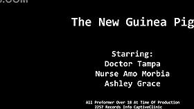 the new guinea pig alternative version with alexis grace