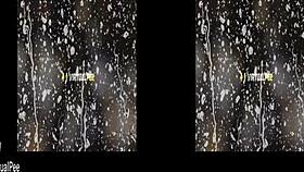 virtualpee brunette enjoys dildo and piss