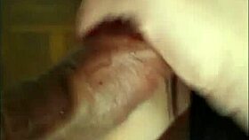 Brazilian babe gives a delicious blowjob to the big-titted moreno