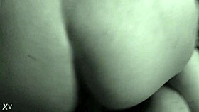 Mexican Adventure Awaits?