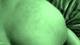 Mexican Adventure Awaits?