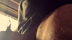 German public shower turns wild with Bad Wolf28 antics