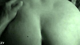 Mexican Adventure Awaits?