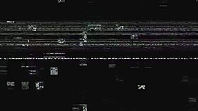 dr tampa gives nova mavericks her yearly physical covid checkup