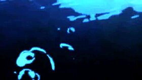 i battle novinho kitkat with lady gaga