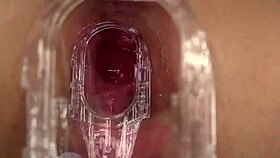 smash or pass this shaved pussy with big tits and horny vibes.