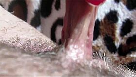 Witness the intense orgasm from her big clit up close.