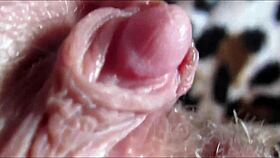 Witness the intense orgasm from her big clit up close.