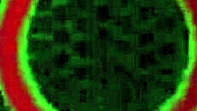 Jessica Jaymes Receives Detailed Ass Licking And Cunnilingus