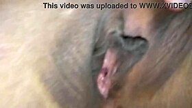 horny young teacher rubs her tight pussy hard