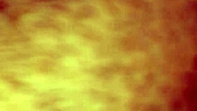 Le Chupo A Mi Novia?