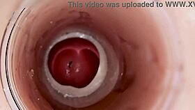 Whoa, camera catches huge sperm blast deep in pussy! 😲