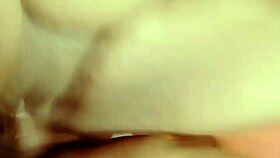 Sundaydogood614 shares update 530 with video from October 12, 2024