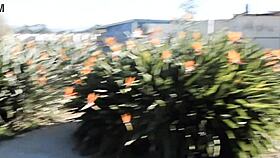 Caught masturbating in Balboa Park?