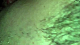 와이프의 신선한 크림파이 로드 먹어줘 냠 😋