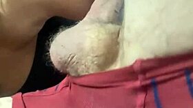 Chupando O Rolão Do Corno!