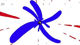 eliza rae strips for one in this full movie